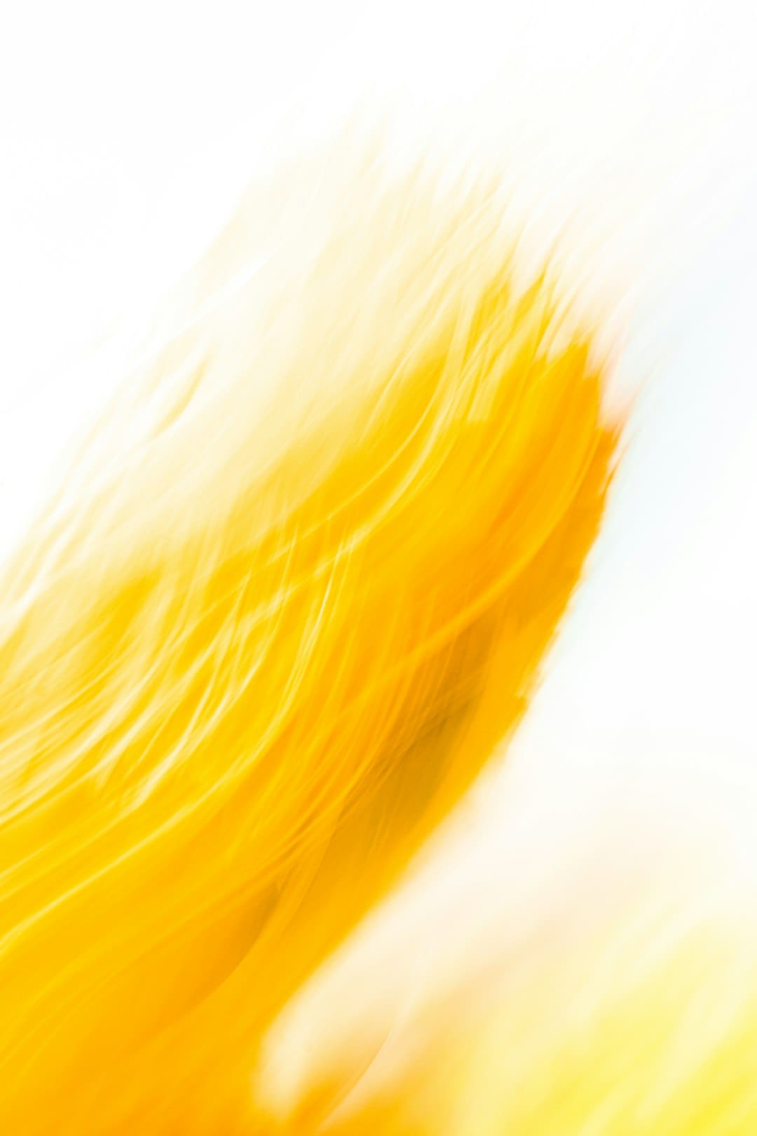 https://static.cfbond.com/files/web/online/caifuwang/images/2509/05/0903317093271634.png